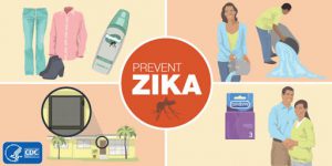 virus zika gây bệnh đầu nhỏ - các biện pháp phòng tránh