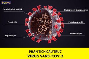 virus covid 19 là gì