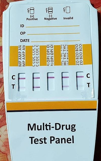 Drug abuse test